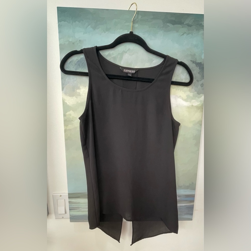 Express Sheer Chiffon Layering Tank Top
